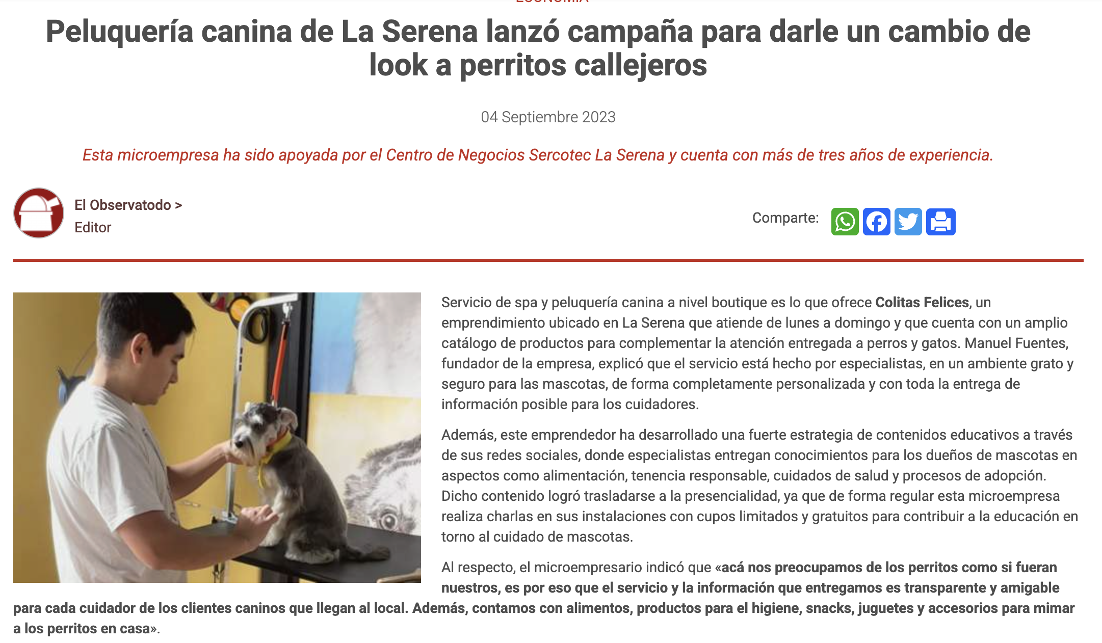 Reportaje de El Observatodo: Peluquería canina de La Serena lanzó campaña para darle un cambio de look a perritos callejeros